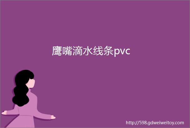 鹰嘴滴水线条pvc