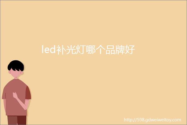 led补光灯哪个品牌好