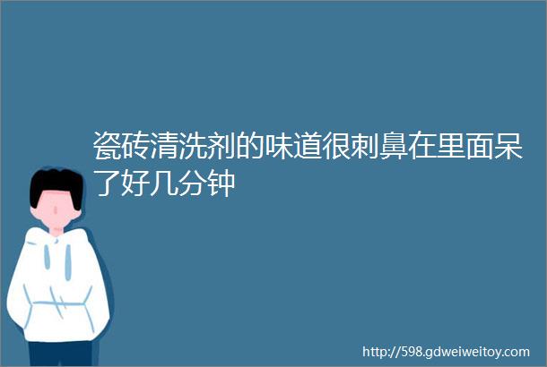 瓷砖清洗剂的味道很刺鼻在里面呆了好几分钟